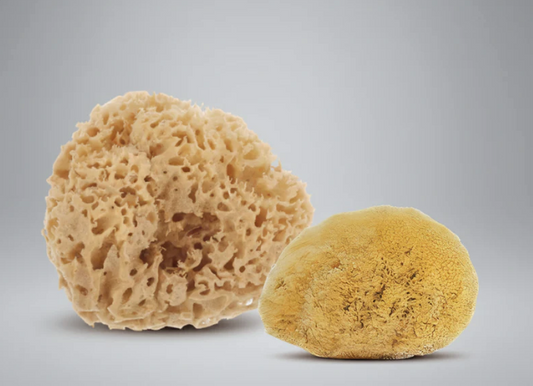 Sponge Bundle